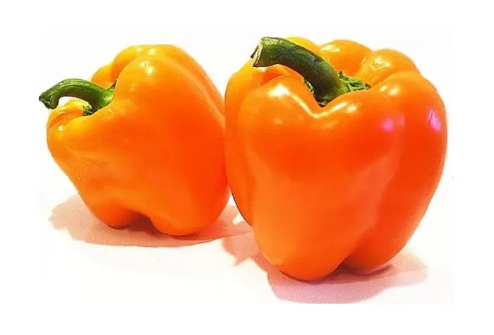 ARDEI CALIFORNIA ORANJ,  Spania 